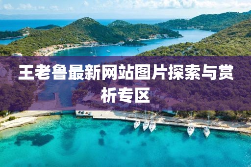 王老魯最新網(wǎng)站圖片探索與賞析專區(qū)