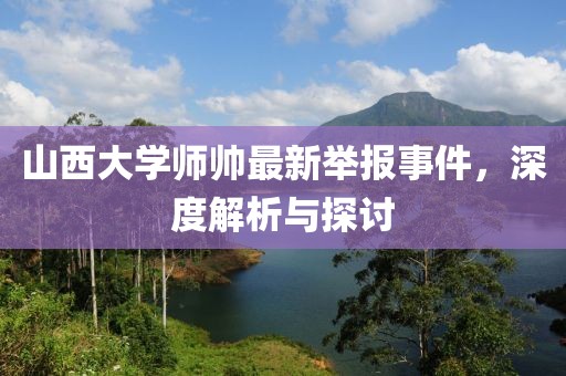 山西大學(xué)師帥最新舉報(bào)事件，深度解析與探討
