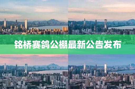 銘橋賽鴿公棚最新公告發(fā)布