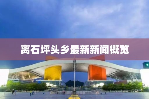 離石坪頭鄉(xiāng)最新新聞概覽