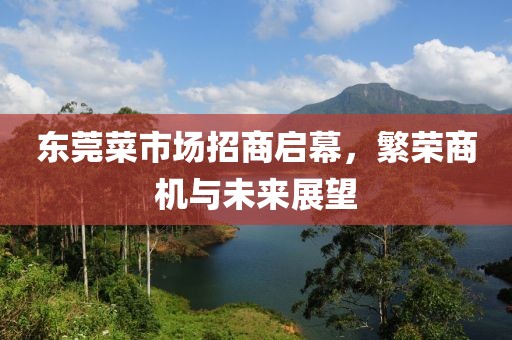 東莞菜市場招商啟幕，繁榮商機與未來展望