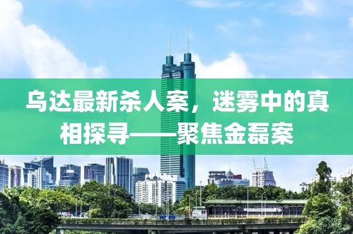 烏達(dá)最新殺人案，迷霧中的真相探尋——聚焦金磊案