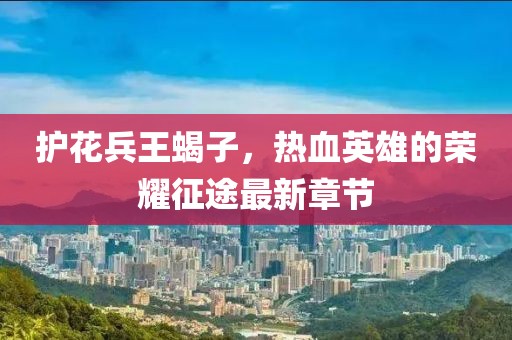 護(hù)花兵王蝎子，熱血英雄的榮耀征途最新章節(jié)