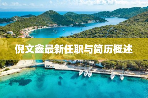倪文鑫最新任職與簡(jiǎn)歷概述