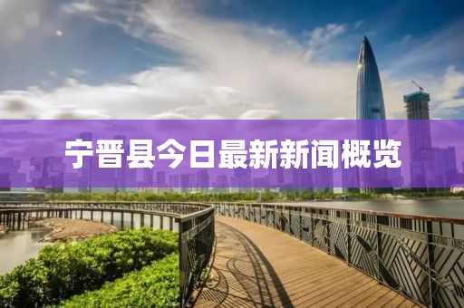 寧晉縣今日最新新聞概覽