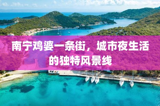 南寧雞婆一條街，城市夜生活的獨(dú)特風(fēng)景線