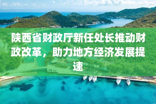 陜西省財(cái)政廳新任處長(zhǎng)推動(dòng)財(cái)政改革，助力地方經(jīng)濟(jì)發(fā)展提速