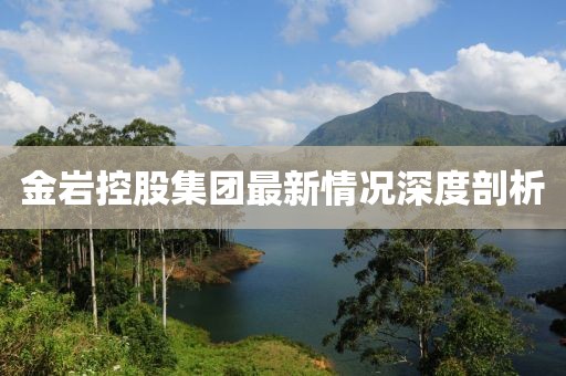 金巖控股集團(tuán)最新情況深度剖析
