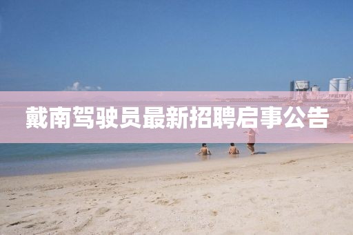 戴南駕駛員最新招聘啟事公告