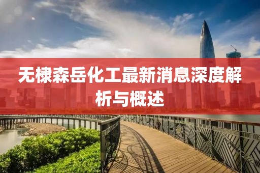 無(wú)棣森岳化工最新消息深度解析與概述