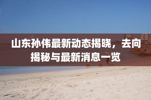 山東孫偉最新動(dòng)態(tài)揭曉，去向揭秘與最新消息一覽