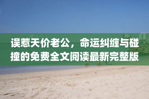 誤惹天價老公，命運糾纏與碰撞的免費全文閱讀最新完整版