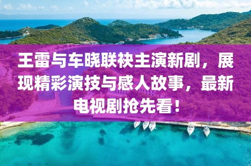 王雷與車曉聯(lián)袂主演新劇，展現(xiàn)精彩演技與感人故事，最新電視劇搶先看！