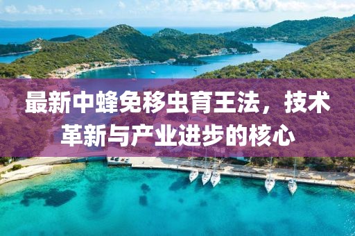 最新中蜂免移蟲育王法，技術革新與產(chǎn)業(yè)進步的核心