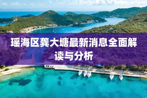 瑤海區(qū)龔大塘最新消息全面解讀與分析