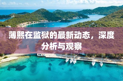 薄熙在監(jiān)獄的最新動(dòng)態(tài)，深度分析與觀察