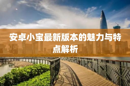 安卓小寶最新版本的魅力與特點解析