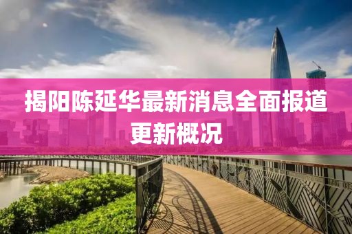 揭陽陳延華最新消息全面報道更新概況