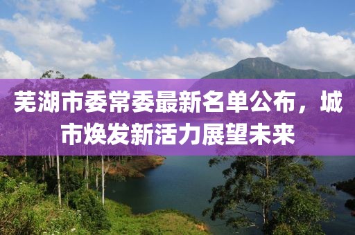 蕪湖市委常委最新名單公布，城市煥發(fā)新活力展望未來
