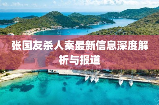 張國(guó)友殺人案最新信息深度解析與報(bào)道