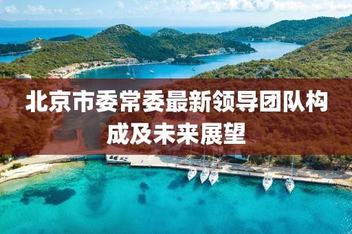 北京市委常委最新領(lǐng)導(dǎo)團(tuán)隊(duì)構(gòu)成及未來(lái)展望