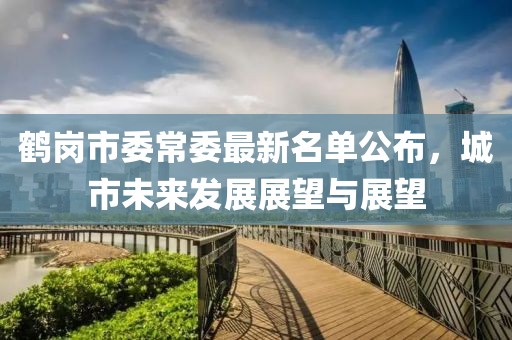 鶴崗市委常委最新名單公布，城市未來發(fā)展展望與展望