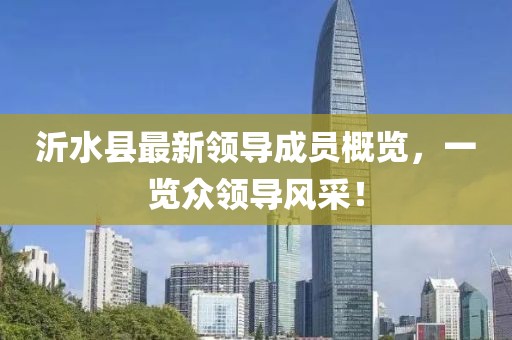 沂水縣最新領(lǐng)導(dǎo)成員概覽，一覽眾領(lǐng)導(dǎo)風(fēng)采！