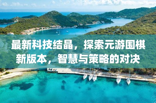 最新科技結(jié)晶，探索元游圍棋新版本，智慧與策略的對(duì)決