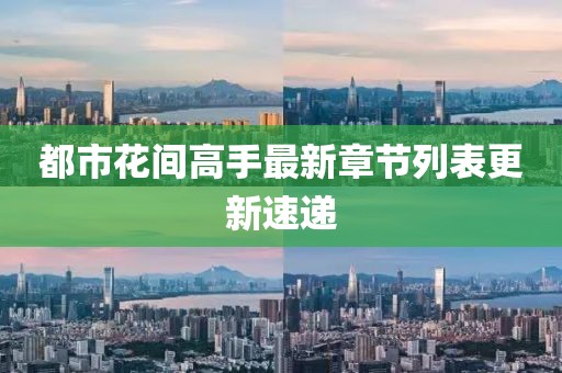 都市花間高手最新章節(jié)列表更新速遞