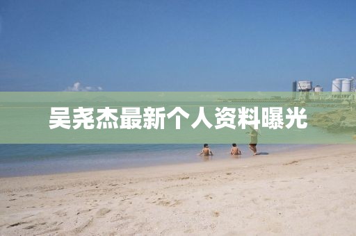 吳堯杰最新個人資料曝光