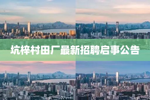 坑梓村田廠最新招聘啟事公告