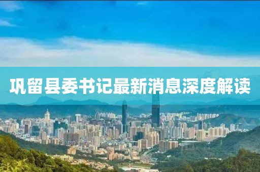 鞏留縣委書記最新消息深度解讀