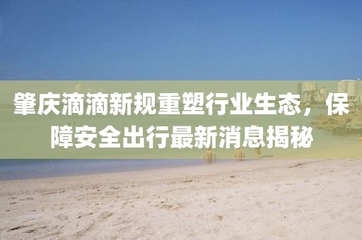 肇慶滴滴新規(guī)重塑行業(yè)生態(tài)，保障安全出行最新消息揭秘