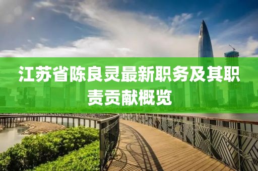 江蘇省陳良靈最新職務(wù)及其職責(zé)貢獻概覽