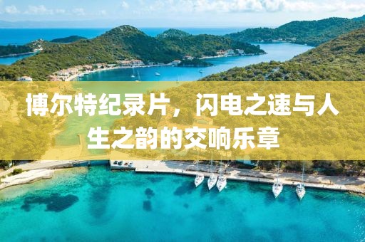 博爾特紀(jì)錄片，閃電之速與人生之韻的交響樂章