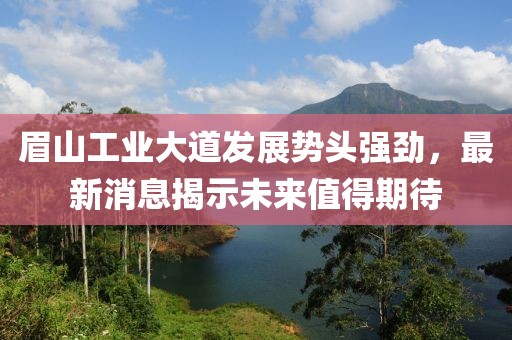 眉山工業(yè)大道發(fā)展勢頭強勁，最新消息揭示未來值得期待