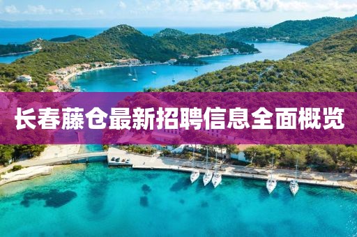 長春藤倉最新招聘信息全面概覽