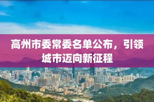 高州市委常委名單公布，引領城市邁向新征程