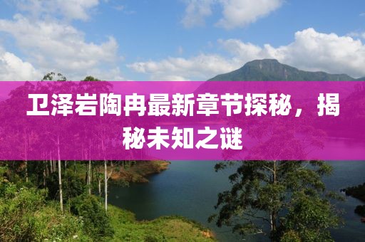 衛(wèi)澤巖陶冉最新章節(jié)探秘，揭秘未知之謎
