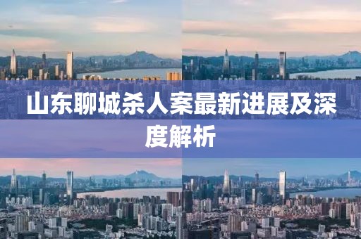 山東聊城殺人案最新進(jìn)展及深度解析
