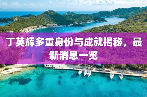 丁英輝多重身份與成就揭秘，最新消息一覽