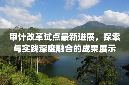 審計改革試點最新進展，探索與實踐深度融合的成果展示