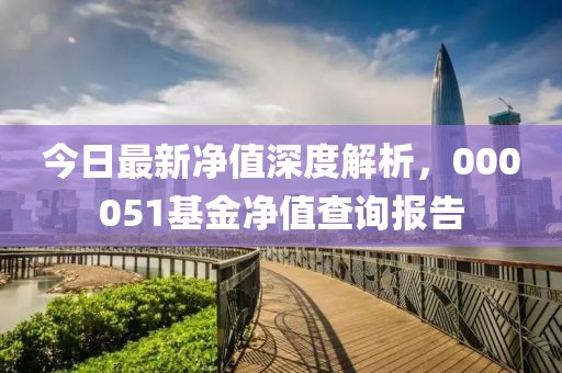 今日最新凈值深度解析，000051基金凈值查詢報(bào)告