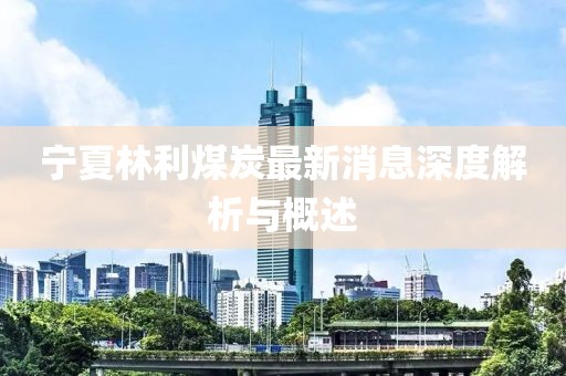 寧夏林利煤炭最新消息深度解析與概述