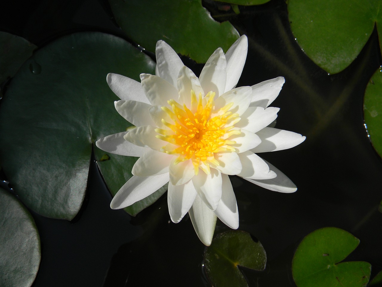 北歡 第23頁(yè)