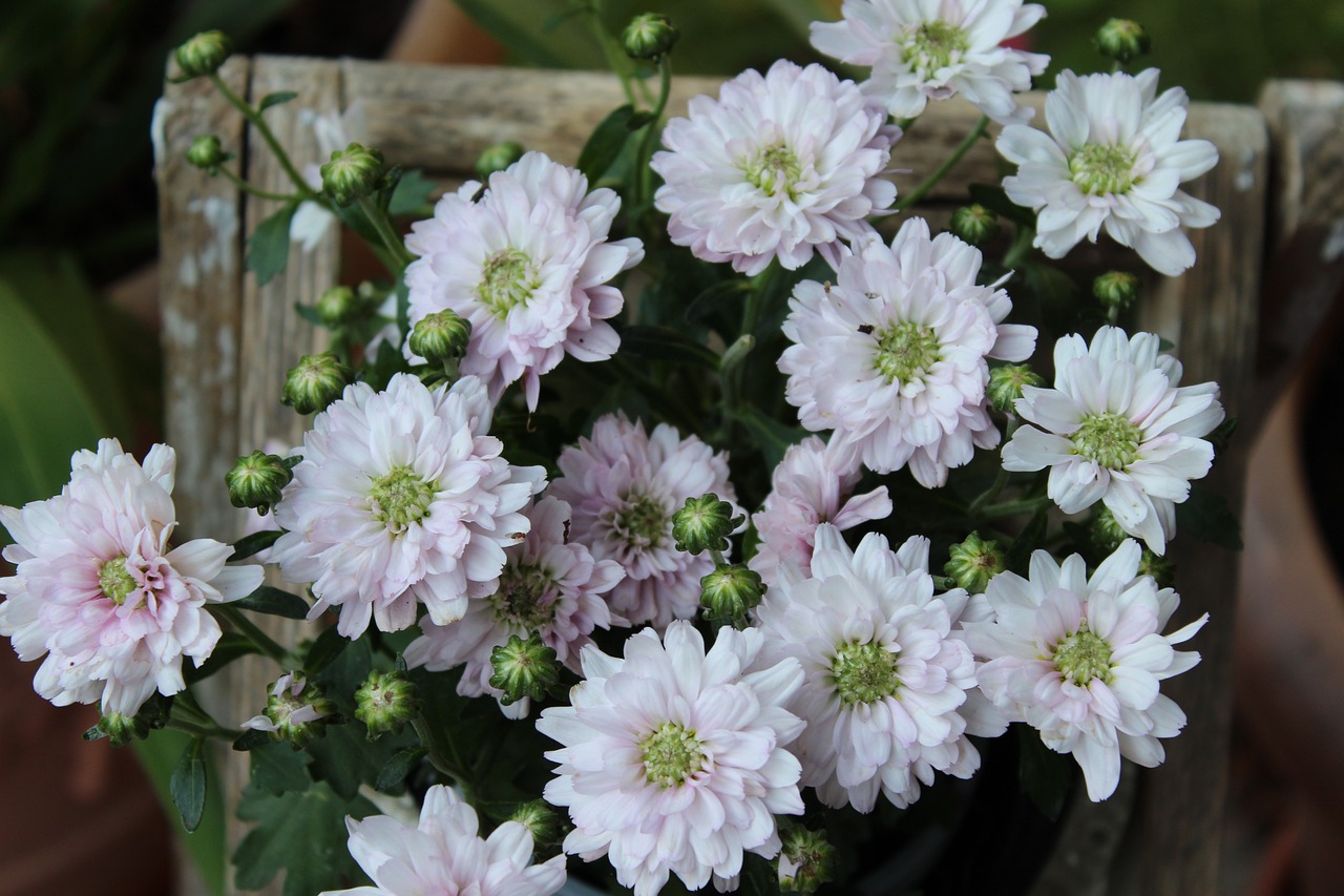 丹陽(yáng)昆侖華府最新動(dòng)態(tài)解析，深度了解最新消息