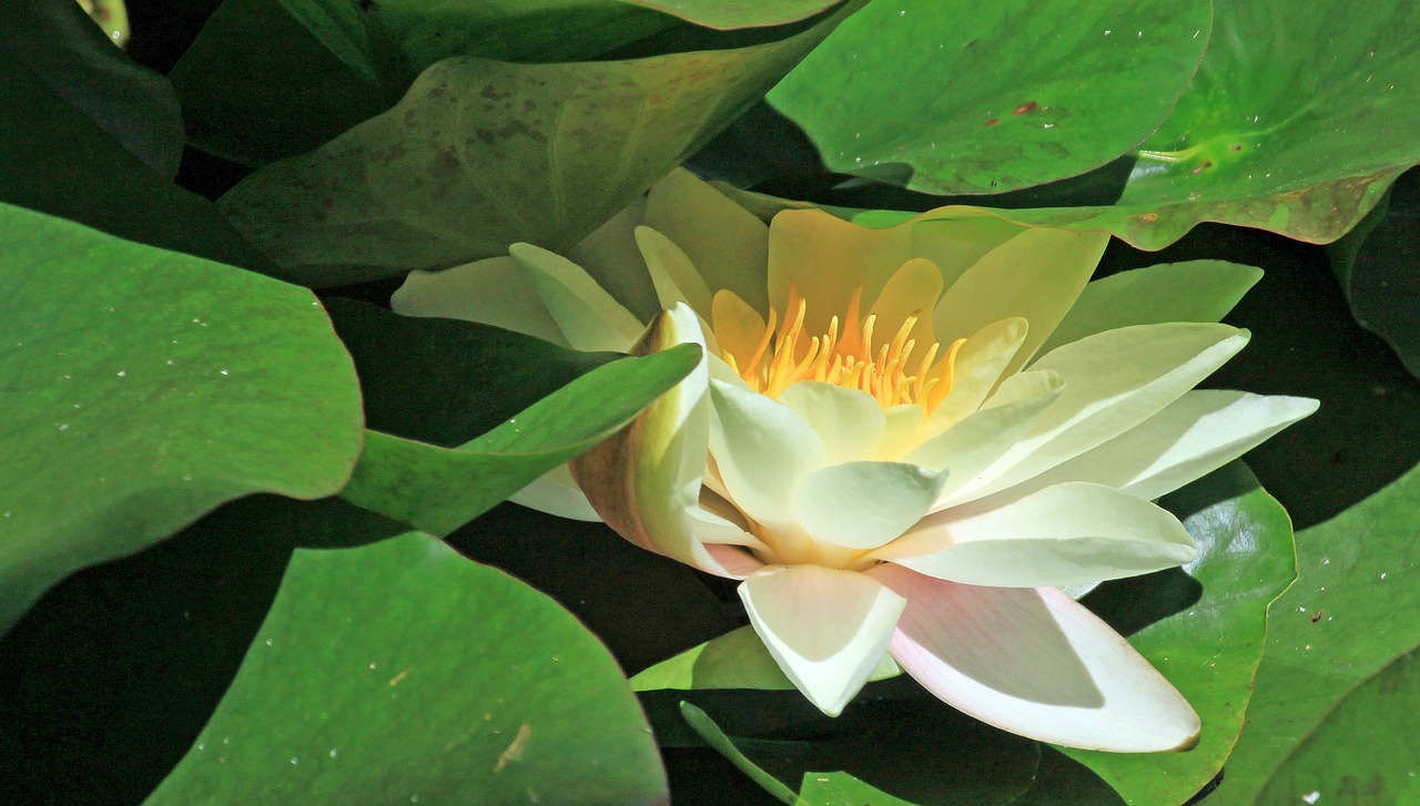 江門瓏湖灣未來繁華啟幕，最新動態(tài)揭示未來發(fā)展新篇章