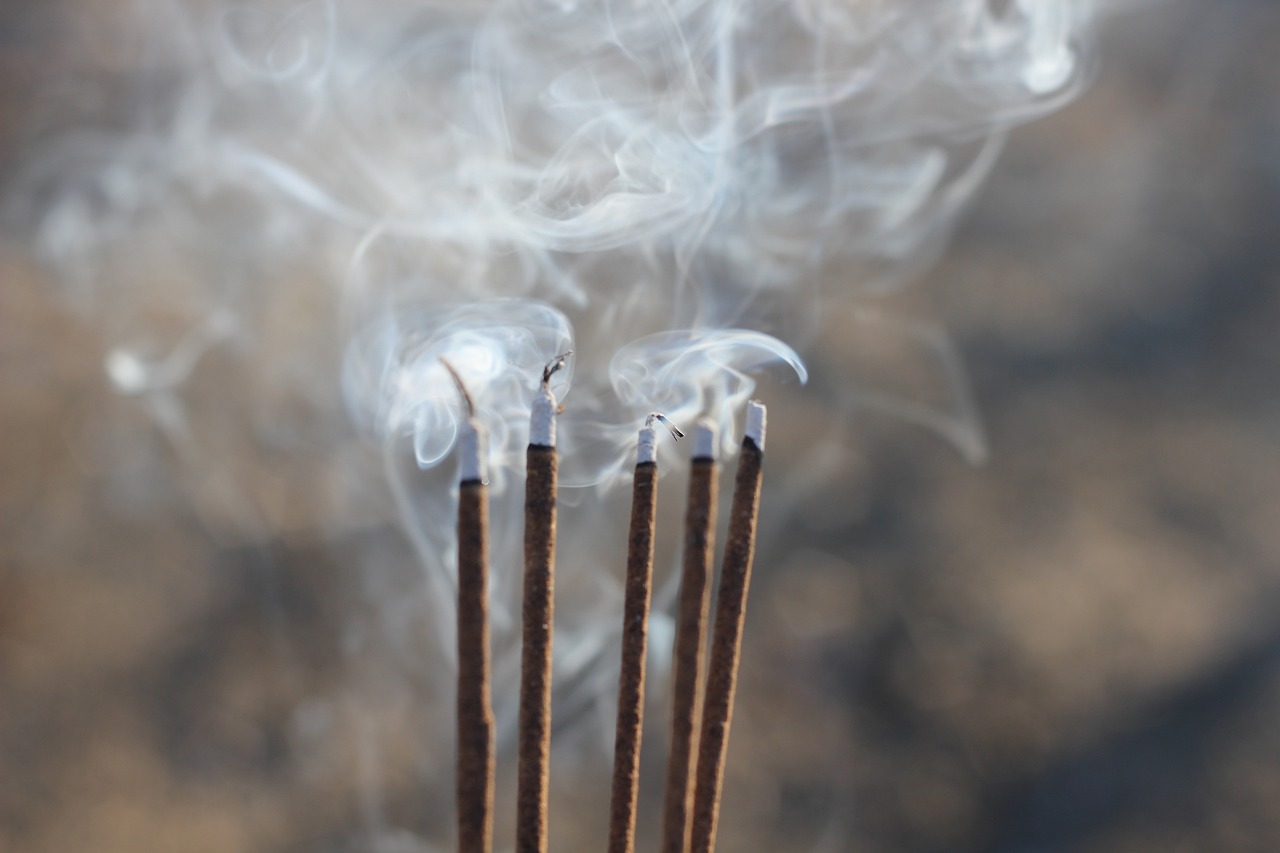 昆山溪香米蘭最新動態(tài)揭秘，最新消息一覽無余