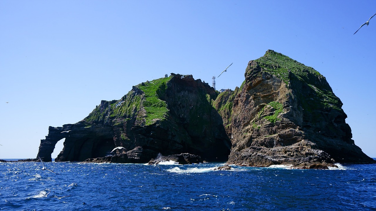 鈞魚島最新消息視頻揭秘，東海釣魚島爭端的新動態(tài)