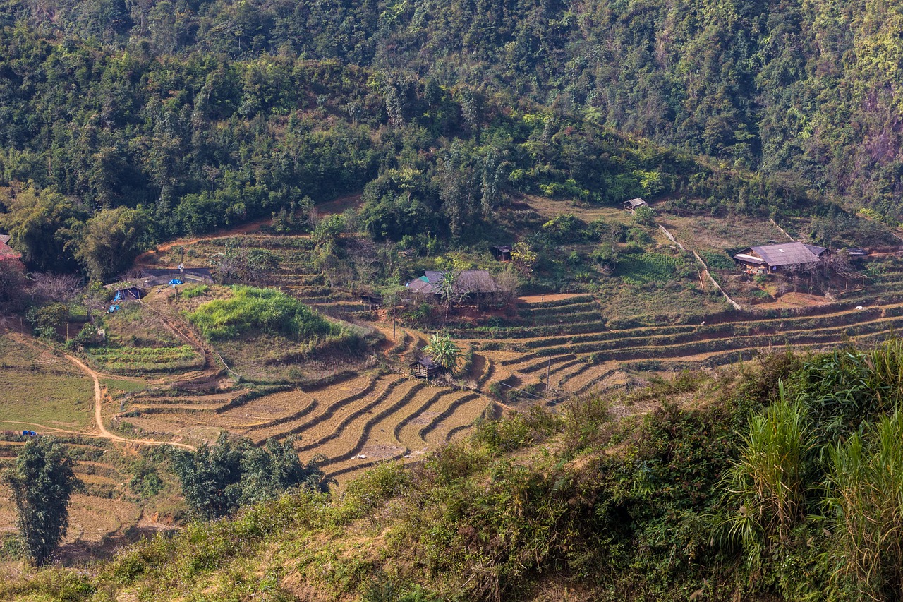 符離鎮(zhèn)最新規(guī)劃圖揭曉，展望繁榮未來(lái)，符離鎮(zhèn)2016規(guī)劃展望
